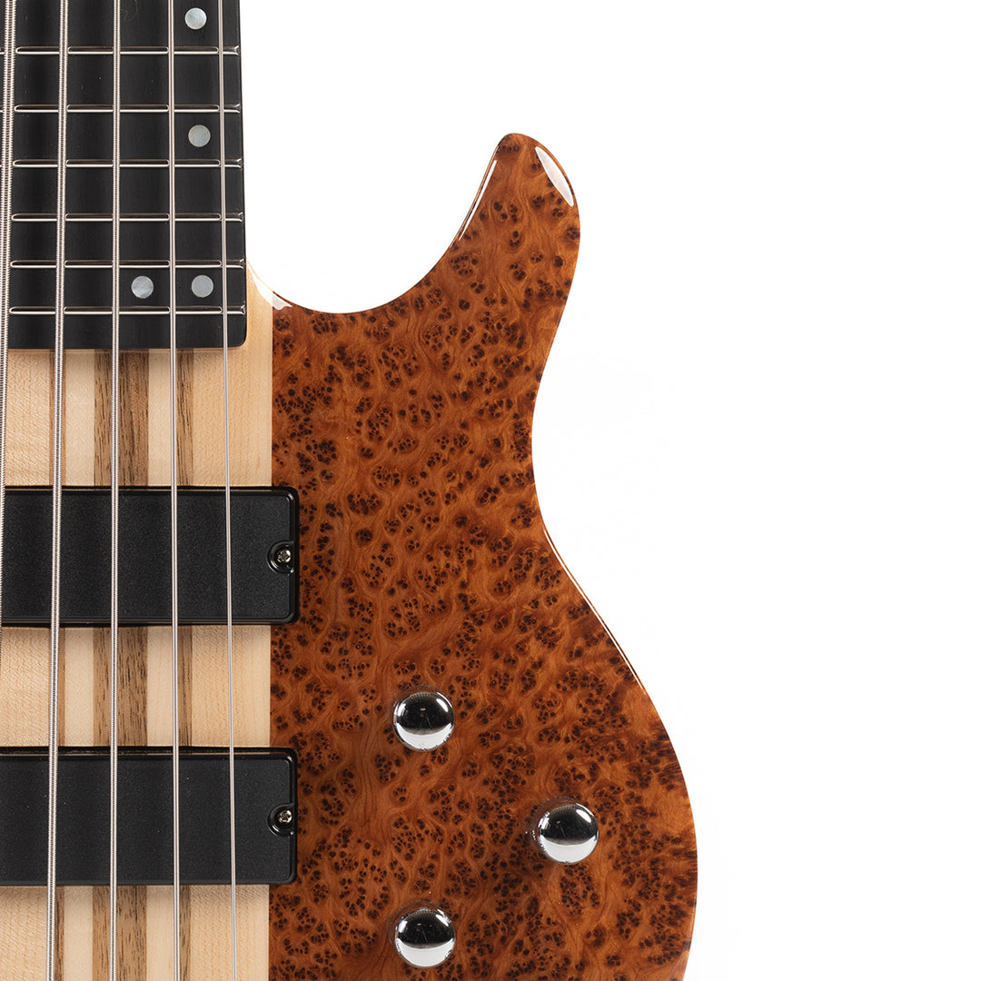 SC5 - Cedar Burl