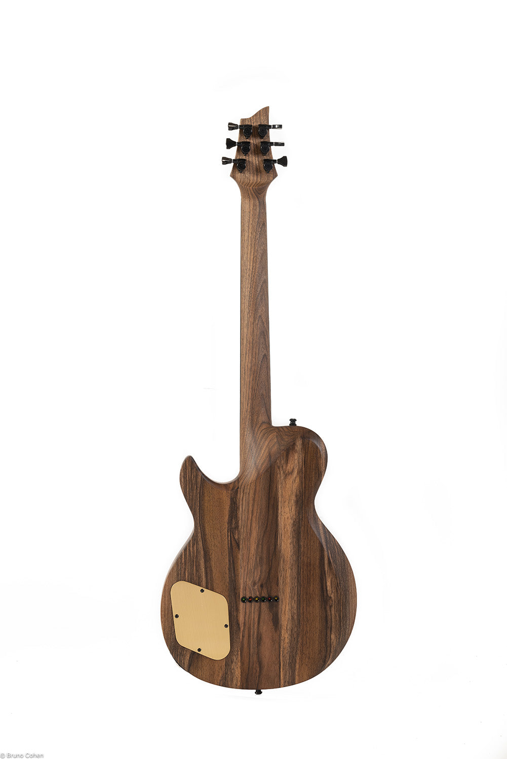 [CUSTOM SHOP] NINA Custom "PLUME"