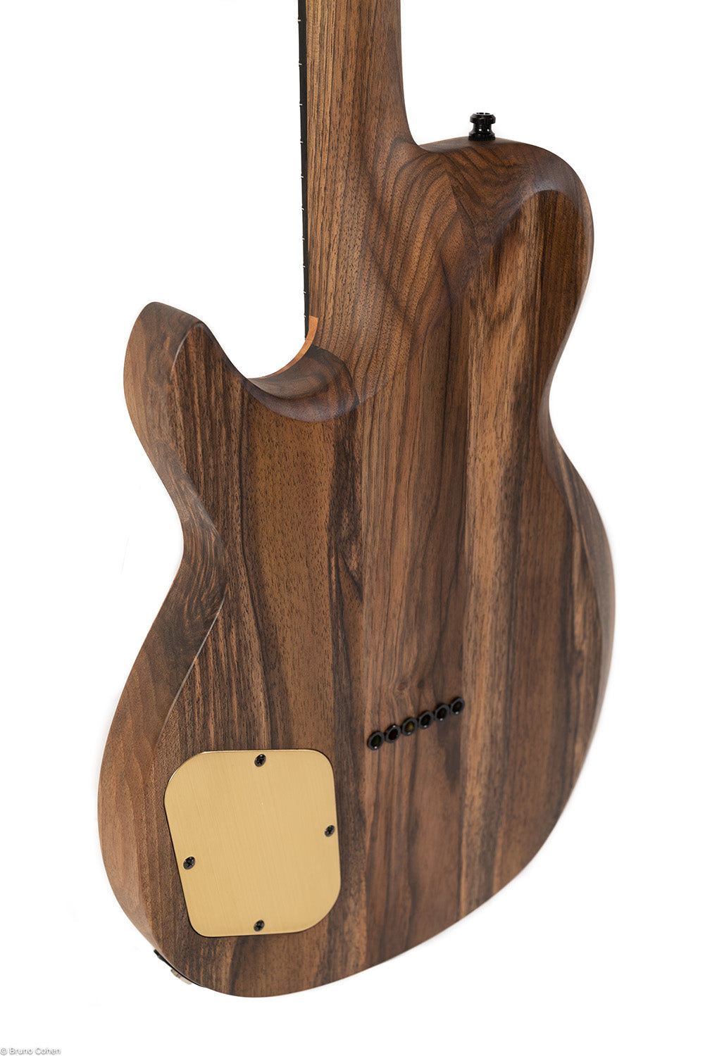 [CUSTOM SHOP] NINA Custom "PLUME"
