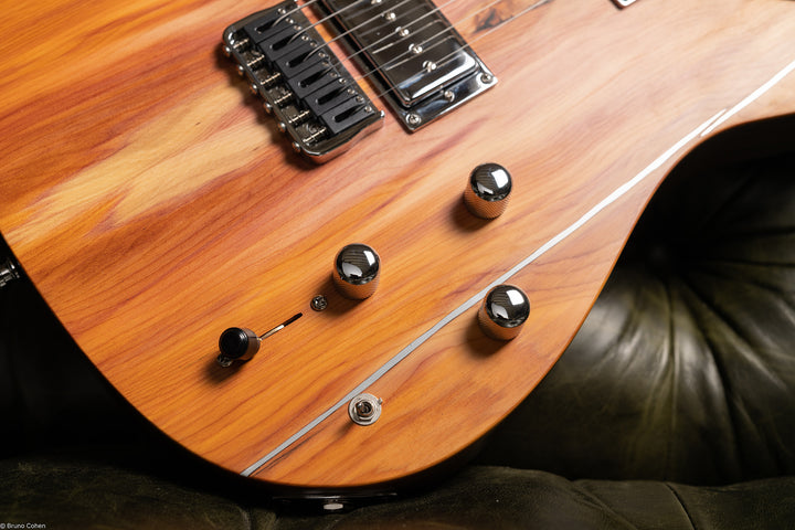    TC_AIR_Fire_02_front_electronic_close_up_De_Leeuw_Guitars_Paris_Made_in_France_Luthier_Guitar_Maker_France_Neck_Through_Manche_Traversant